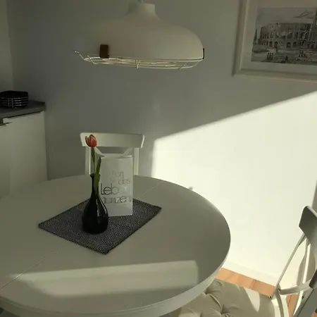 Apartment Attika In Freiburg -gundelfingen Mit Grosser Dachterrasse